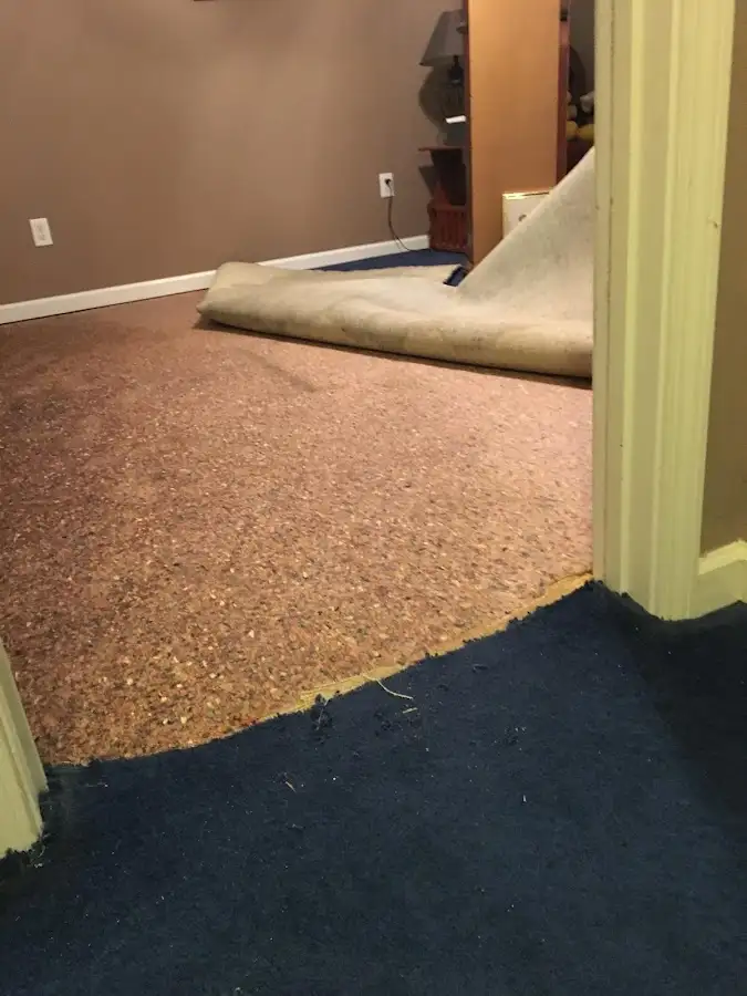 Carpet pad removal revealing water damage during Water Mitigation Services in Elk Grove Village
