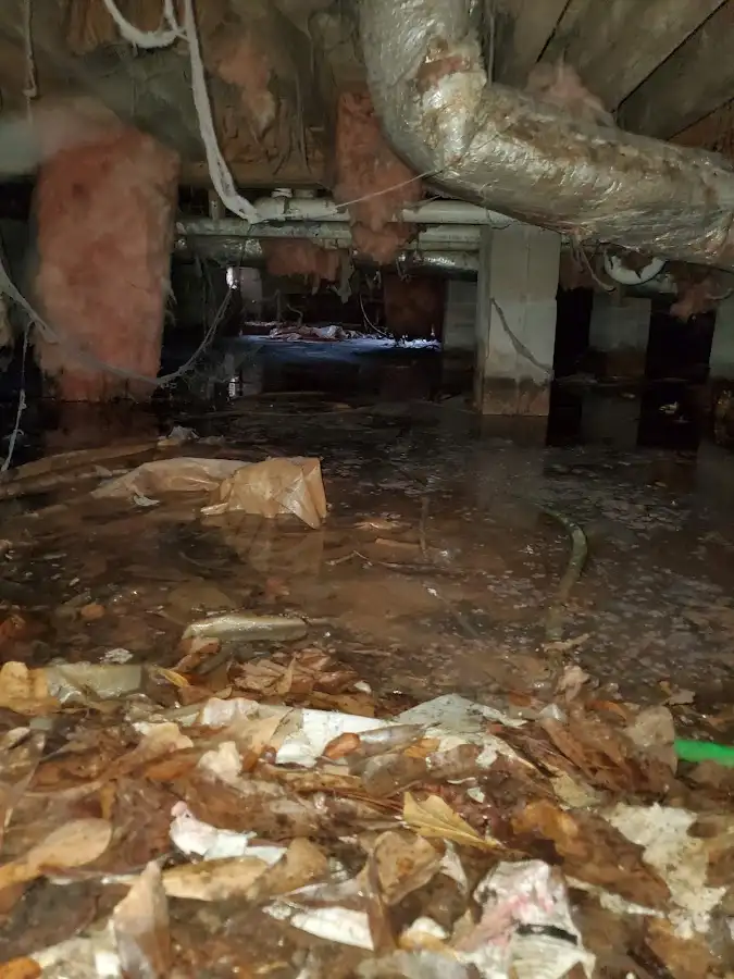 Crawl space flood assessment for Commercial Water Damage Restoration in Elk Grove Village
