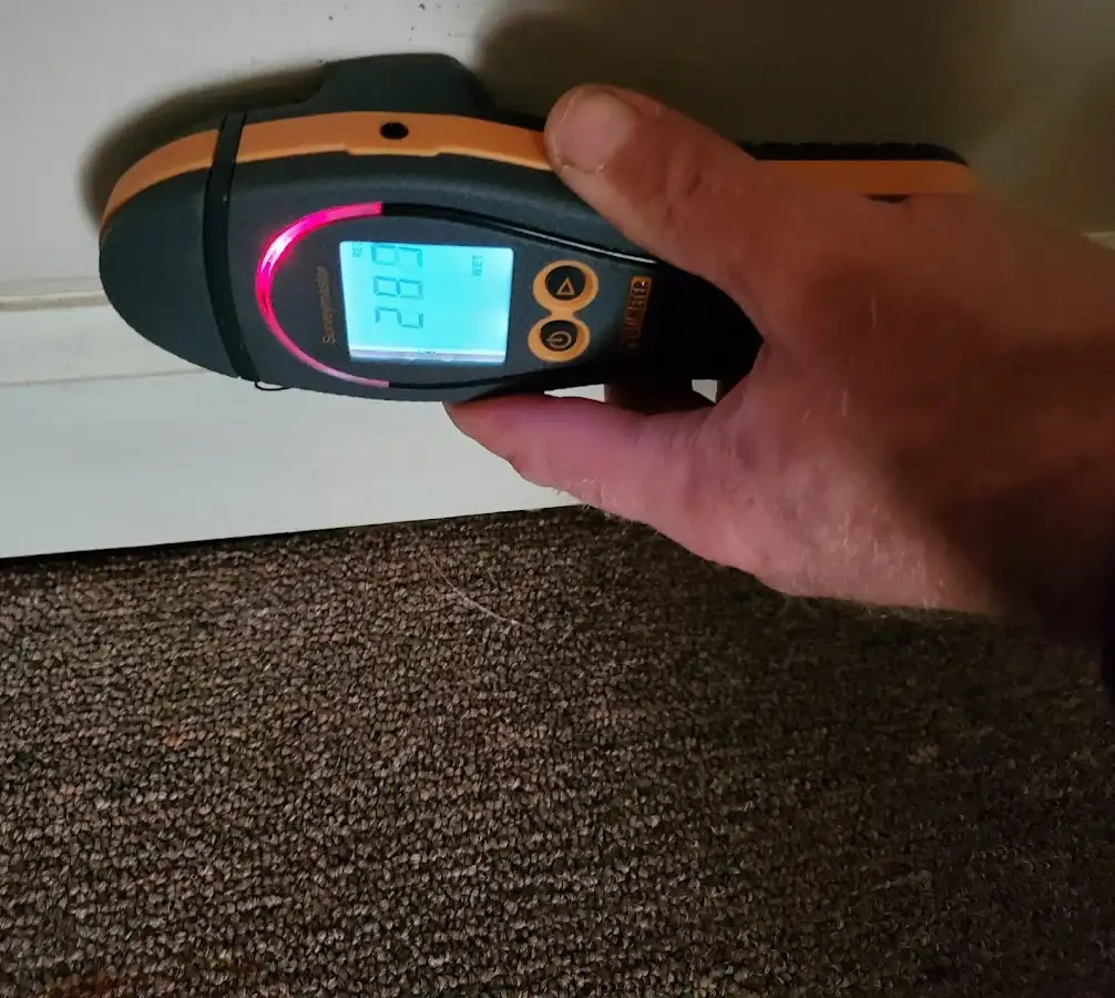 Moisture detection at baseboard during Sewage Cleanup & Sanitation in Elk Grove Village